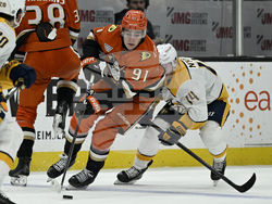 Predators Ducks Hockey