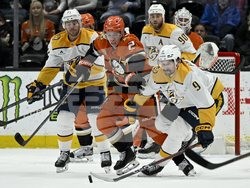 Predators Ducks Hockey