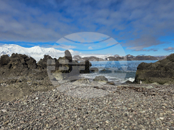 Антарктида - остров Ливингстън - нос Ереби пойнт - дейности