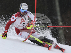 Austria Alpine Skiing World Cup