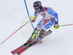 Austria Alpine Skiing World Cup