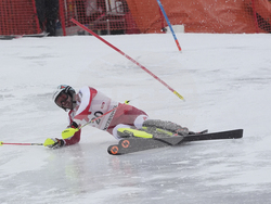 Austria Alpine Skiing World Cup