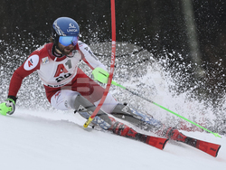 Austria Alpine Skiing World Cup