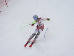 Austria Alpine Skiing World Cup