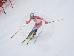 Austria Alpine Skiing World Cup