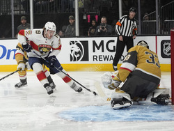 Panthers Golden Knights Hockey