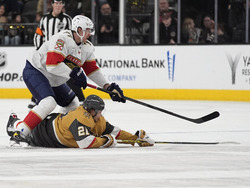 Panthers Golden Knights Hockey