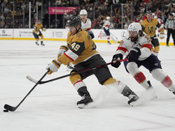 Panthers Golden Knights Hockey