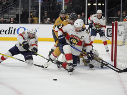 Panthers Golden Knights Hockey