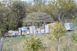 Сърбия - Село Ярешник - изглед