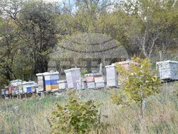 Сърбия - Село Ярешник - изглед