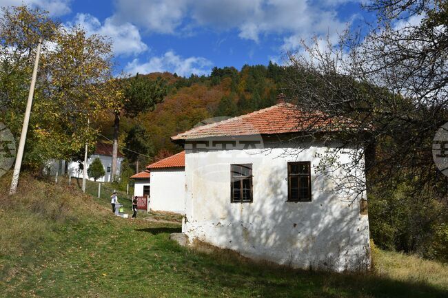 Босилеградското село Ярешник – минало и настояще