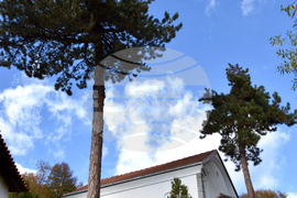 Сърбия - Село Ярешник - изглед