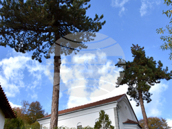 Сърбия - Село Ярешник - изглед