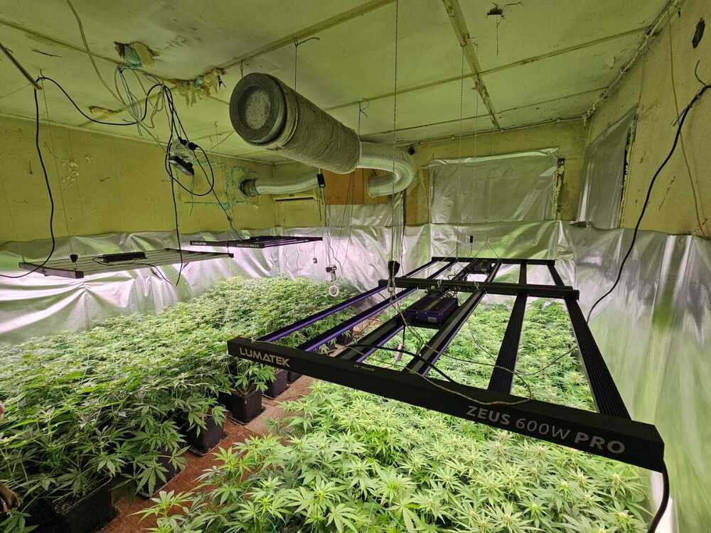 В Пазарджик е открита лаборатория за отглеждане на канабис, съобщиха от полицията 