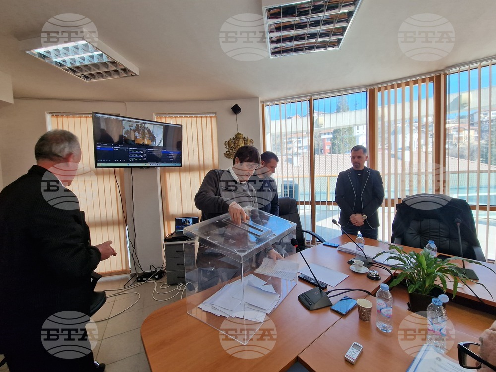 Неделино - Общински съвет