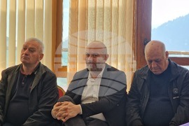 Неделино - Общински съвет