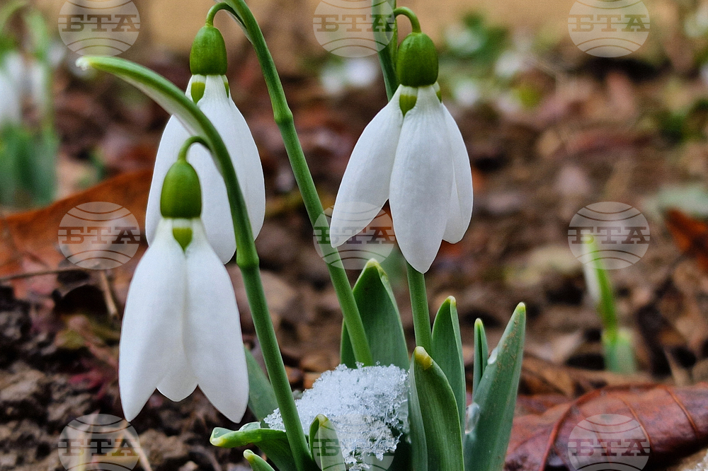 Прогноза за времето