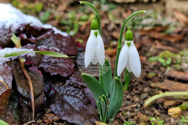 Прогноза за времето