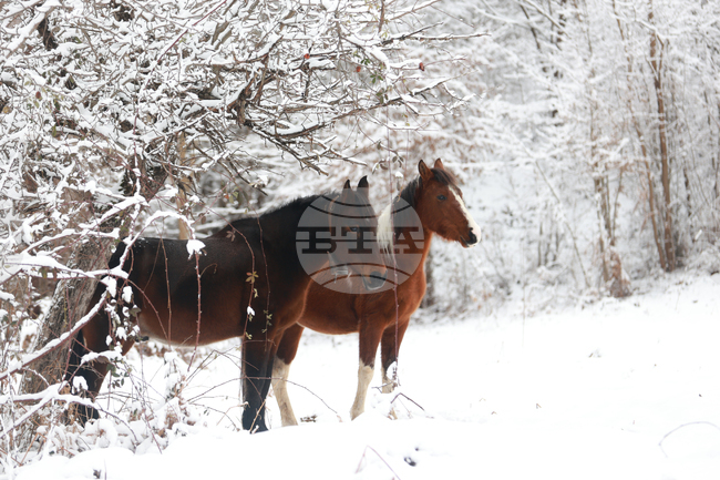 The Weather on February 8-9