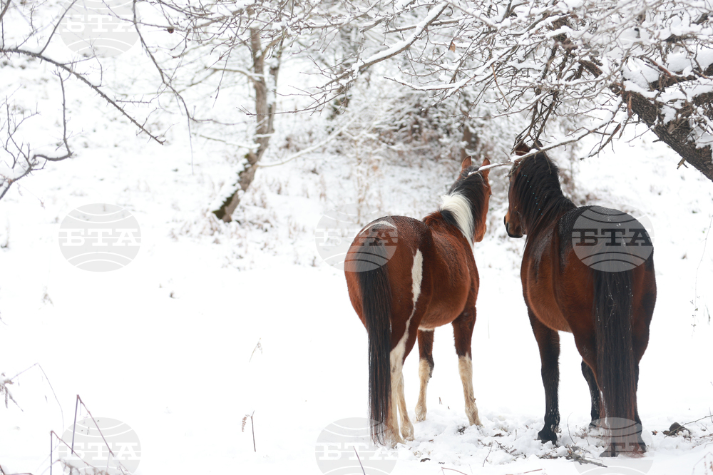 The Weather on February 3