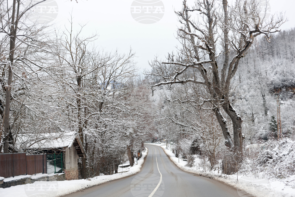 Най-малко 15 души са ранени при катастрофи през последното денонощие в България, съобщиха от МВР