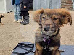 Снимка: Община Варна