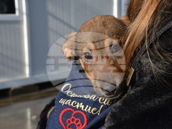 Снимка: Община Варна