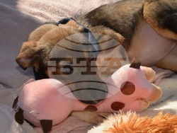 Снимка: Община Варна