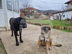 Снимка: Община Варна