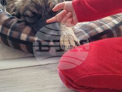 Снимка: Община Варна