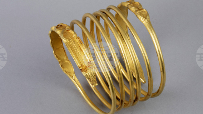 АНП: Съдът ще разгледа делото за кражба на артефакти от музея "Дрентс" в Асен в средата на април