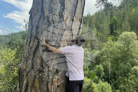 Сърбия - Село Църнощица - изглед