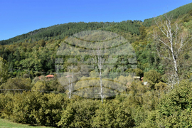 Сърбия - Село Църнощица - изглед