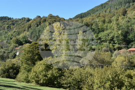 Сърбия - Село Църнощица - изглед