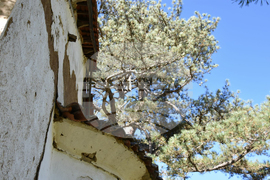 Сърбия - Село Църнощица - изглед