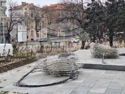 Снимка: Община Варна