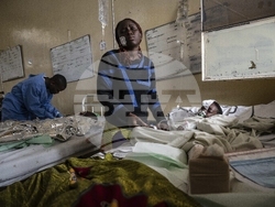 Congo Fighting Photo Gallery