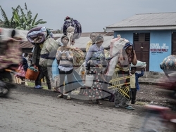 Congo Fighting Photo Gallery