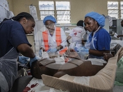 Congo Fighting Photo Gallery