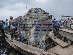 Congo Fighting Photo Gallery