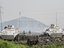 Congo Fighting Photo Gallery