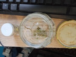 Снимка: ОД на МВР - Шумен