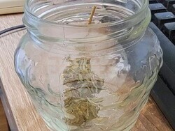 Снимка: ОД на МВР - Шумен