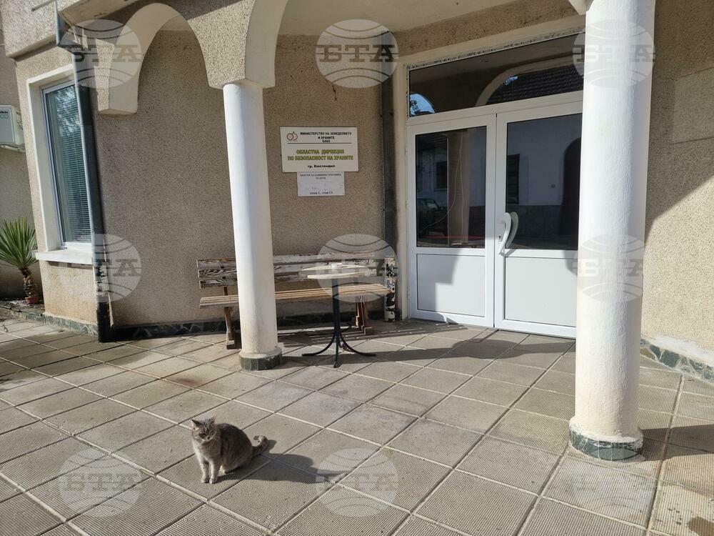 БАБХ ще проведе информационни срещи с животновъди от Кюстендилско в началото на февруари