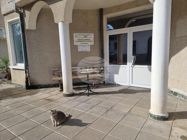 БАБХ ще проведе информационни срещи с животновъди от Кюстендилско в началото на февруари