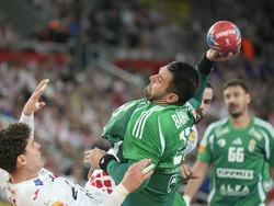 Handball Men's Worlds