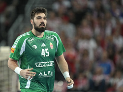 Handball Men's Worlds