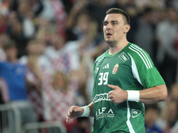 Handball Men's Worlds