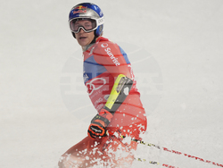Austria Alpine Skiing World Cup